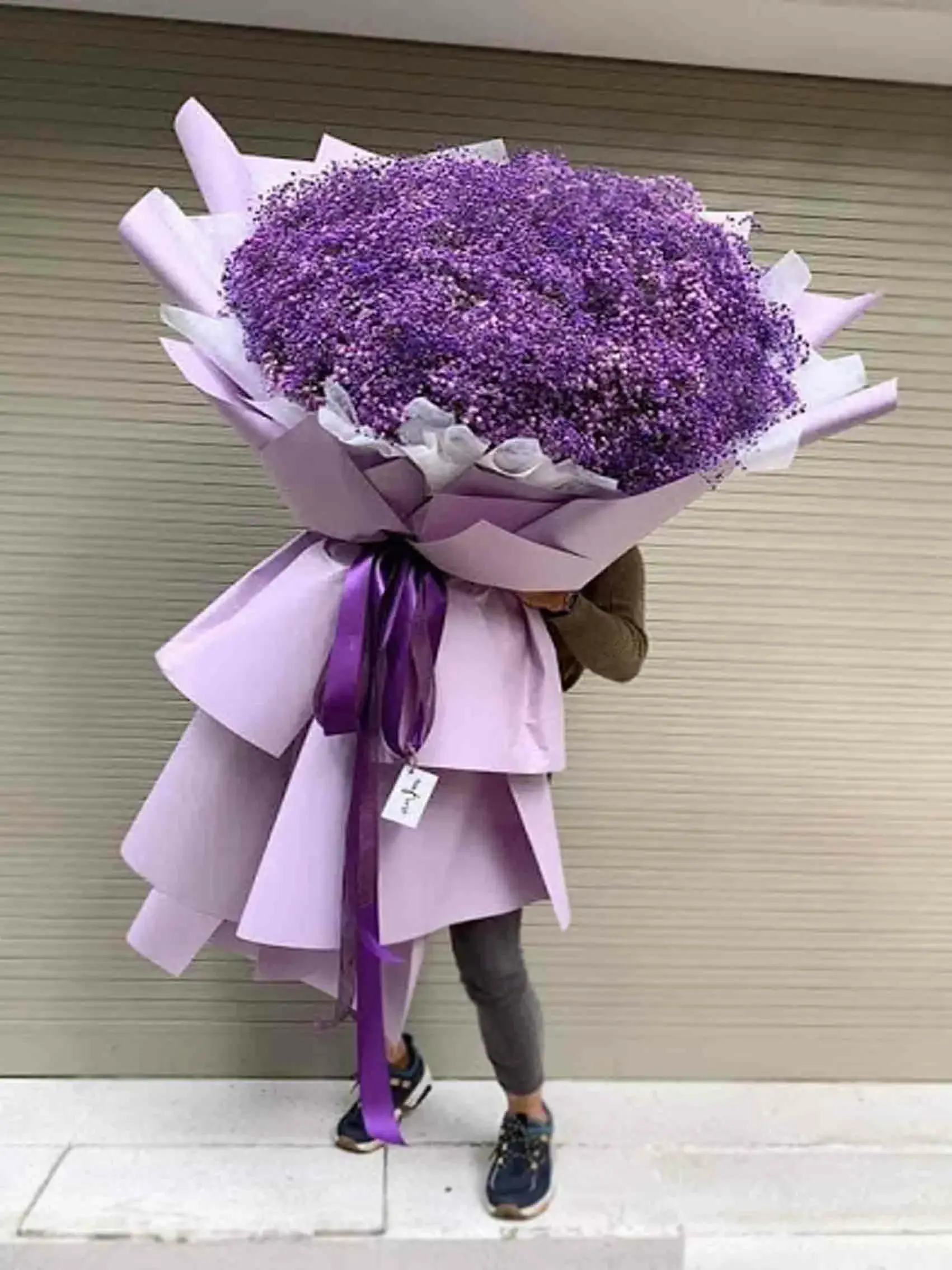 Top 10 Những bó hoa màu tím đẹp nhất Được yêu thích nhất trong mùa xuân