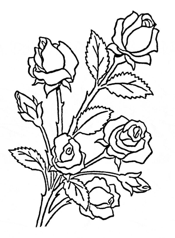 cách vẽ bó hoa đơn giản