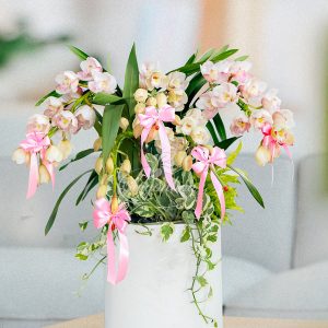 Chậu Lan Chúc Mừng A96